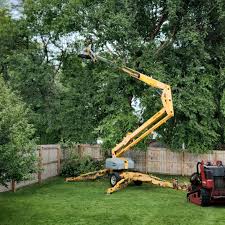Best Lawn Watering Services  in Dale City, VA