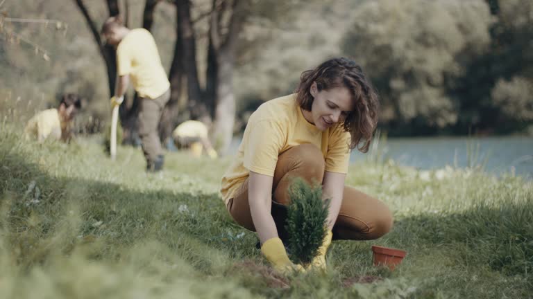 Best Pest Control for Lawns  in Dale City, VA